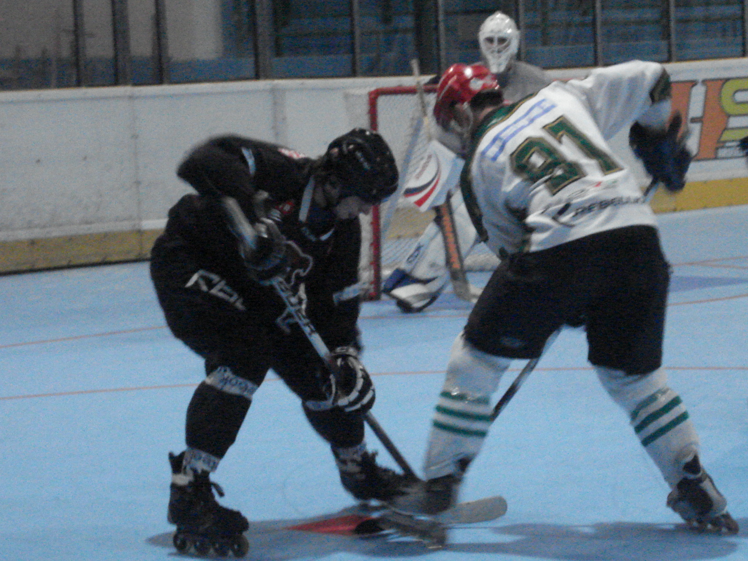 DSC01401.JPG
