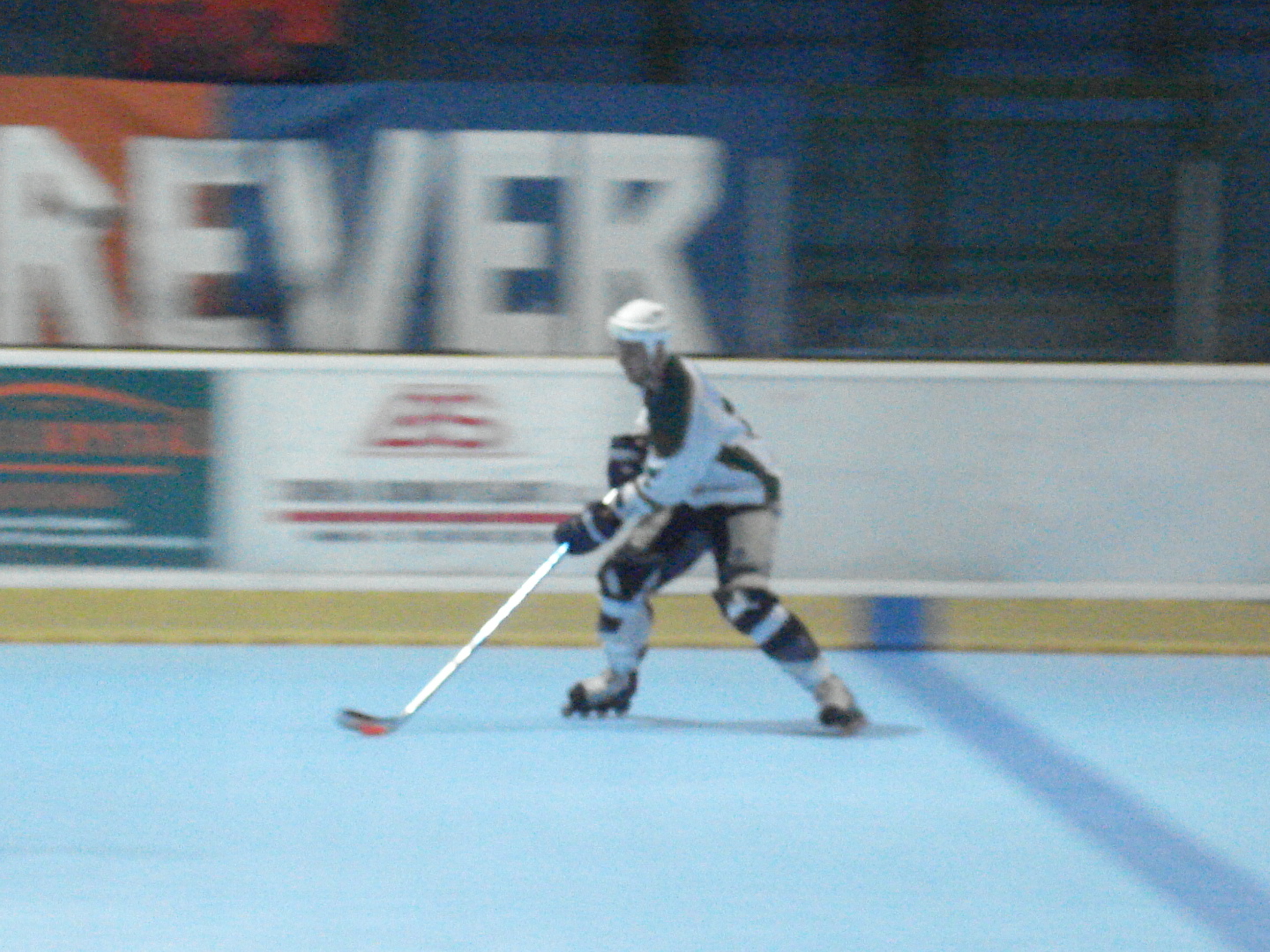 DSC01394.JPG